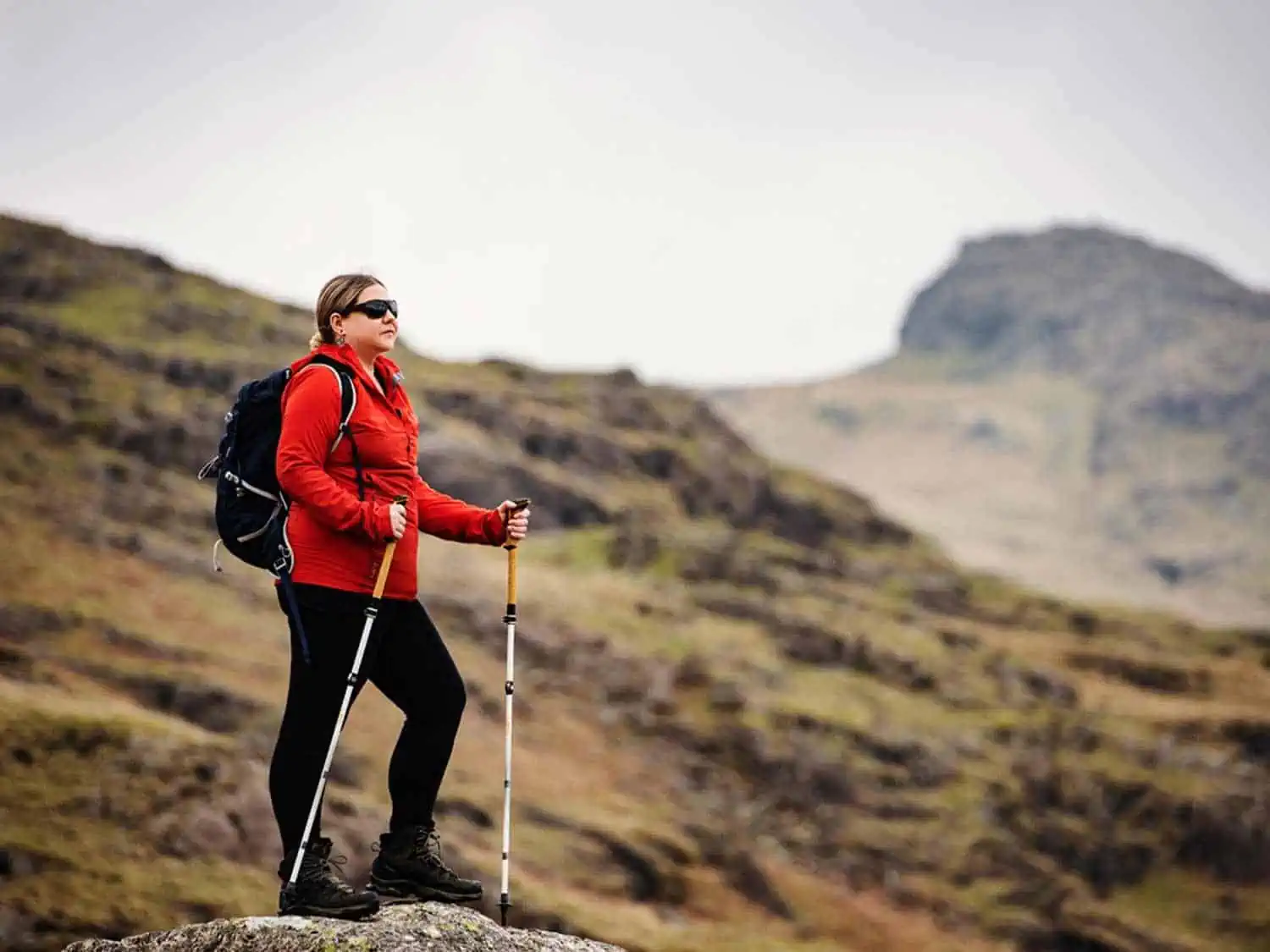 Trail Elite Trekking Pole, Trekking & Hiking Poles
